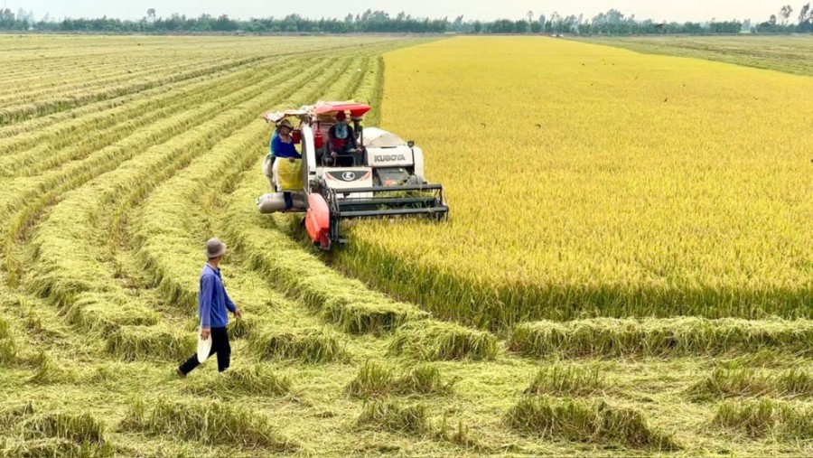 Ban hành Bộ tiêu chí quốc gia về nông thôn mới giai đoạn 2026 - 2030