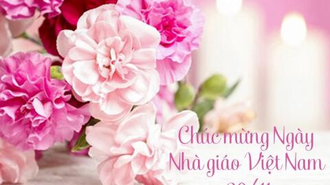 Thư chúc mừng Ngày Nhà giáo Việt Nam 20/11 của Tỉnh ủy - Hội đồng nhân dân - Ủy ban nhân dân - Ủy ban Mặt trận Tổ quốc Việt Nam tỉnh Vĩnh Long